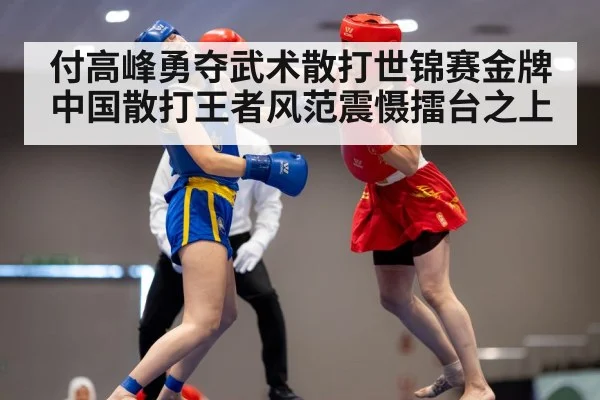 付高峰勇夺武术散打世锦赛金牌 中国散打王者风范震慑擂台之上
